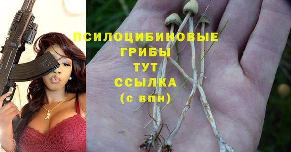 соль ск Заволжье