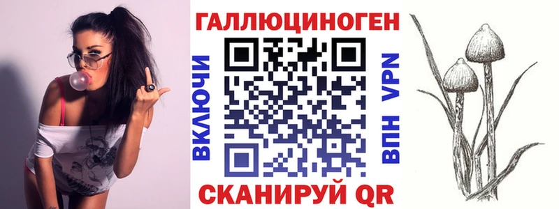 Купить  Зверево  Псилоцибиновые грибы мицелий 